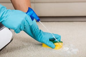 Dish Soap And White Vinegar