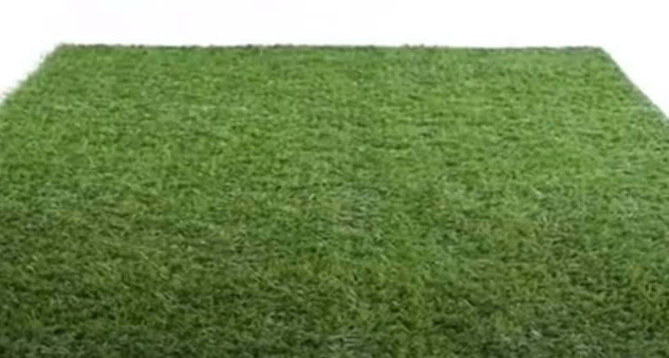 iCustomRug Indoor/Outdoor Turf Rugs
